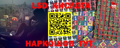 стаф Сланцы