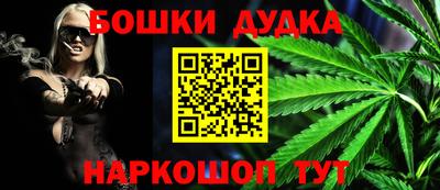 стаф Сланцы