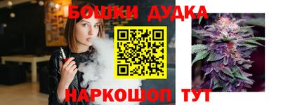 стаф Сланцы