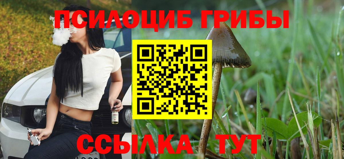 Псилоцибиновые грибы прущие грибы  Вход с VPN  Галлюциногенные грибы прущие грибы  Рассказово 